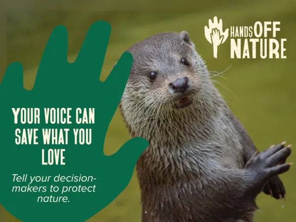 Das Bild zeigt einen Otter mit Bezug auf die #handsoffnature-Kampagne.